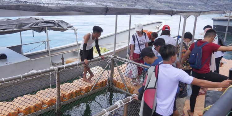 Pengunjung ikur memberi makan ikan hiu 