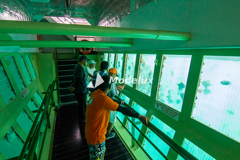 Aquarium bawa laut di Kepri Coral.